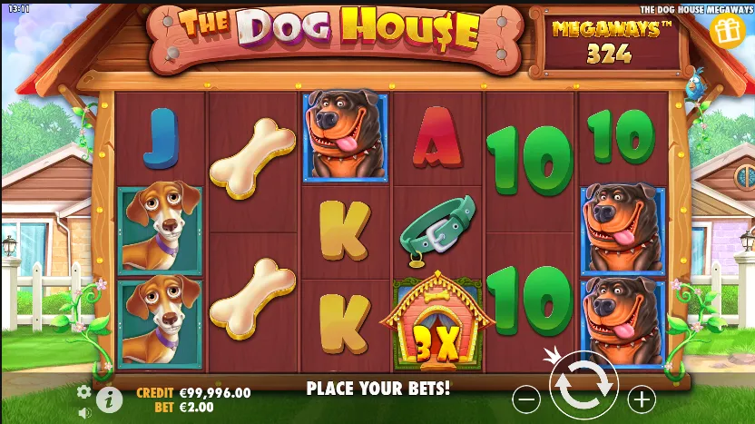 dog house megaways